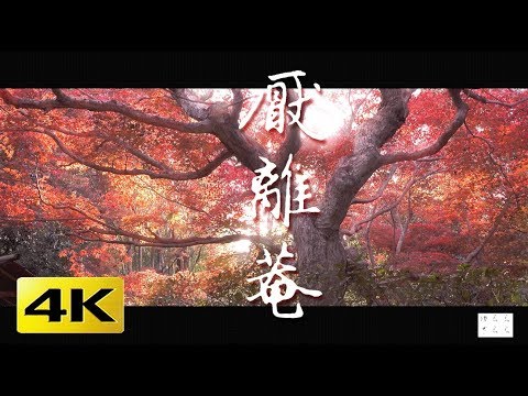 アンドレ・ル・ノートルにならなくても、フランス式庭園をデザインし、作るにはどうすればよいでしょうか?  庭園