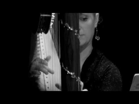 Plastic Crusader | Mirjam Overlach-harp | Albert van Veenendaal-compositie