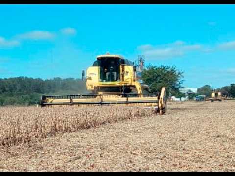 Cosecha de Soja en Nicanor Molinas, norte de la Provincia de Santa Fe, Campaña 2026