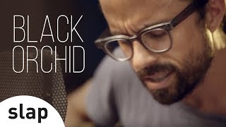 Jesse Haris - Black Orchid