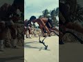People are Awesome 2021 | Planche | #shorts