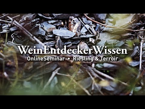 Riesling & Terroir – WeinEntdeckerWissen OnlineSeminar