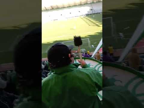 "canción de deportes temuco" Barra: Los Devotos &bull; Club: Deportes Temuco