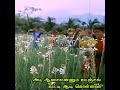 Adi Poonguyile Poonguyile 90s Tamil Super Hit Love Song Whats App Status Aranmanai Kili Ilayaraja
