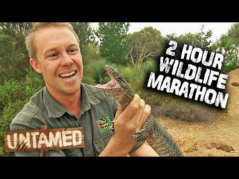 Get Ready for the WILDEST 2 Hours with Tim Faulkner! | Compilation | Untamed