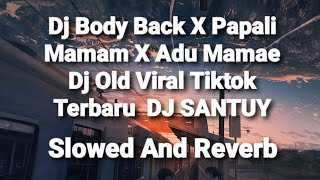 Download lagu DJ BODY BACK x PAPALI MAMAM x ADU MAMAE (Slowed And Reverb) mp3