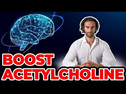 How To Increase Acetylcholine Naturally (Hidden Secrets)