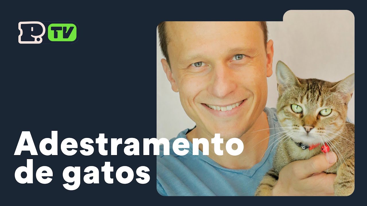 Adestramento de Gatos - Petz