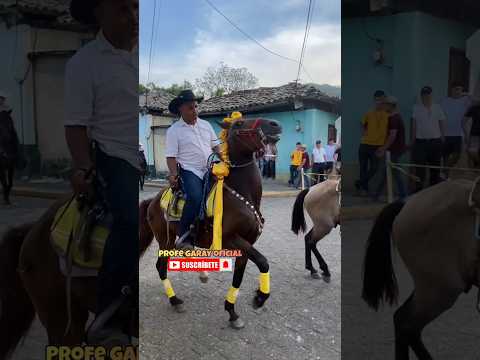Desfile Hípico de Trinidad, Santa Bárbara  #honduras