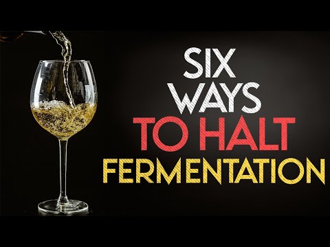 Six Ways to Halt Fermentation in Homebrew