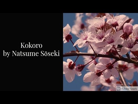 Kokoro  by Natsume Sōseki (Summary of the Novel)