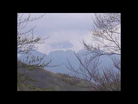 Traveller’s Guide: The Domogled - Cerna Valley Nature Park