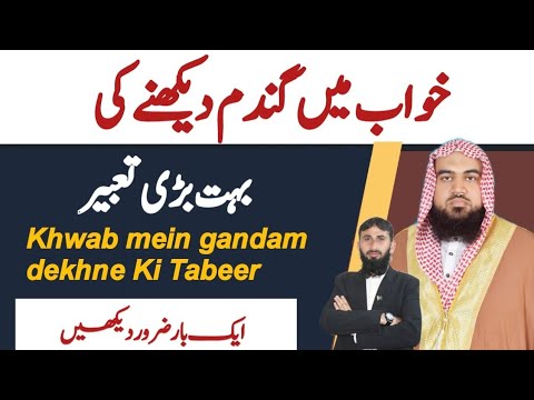 khwab mein gandam | khwab mein gandum ka khet dekhna | khwab ki tabeer | Dreem in islam