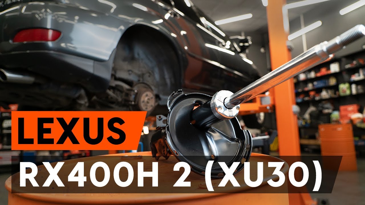 Kako zamenjati avtodel vzmetna noga (blazilnik) zadaj na avtu Lexus RX XU30 – vodnik menjave