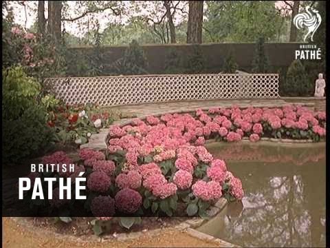 Chelsea Flower Show (1964)