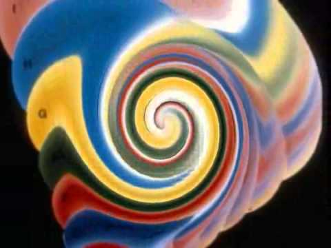 Spiral Dynamics: Beautiful Noise (Dr. Don Beck)