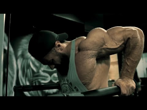 JUST DISAPPEAR - Chris Bumstead Bodybuilding Motivation 