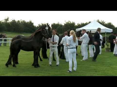 KFPS Centrale Keuring Jeugdkampioenschap 2015