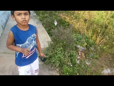 Soumyak with his pets