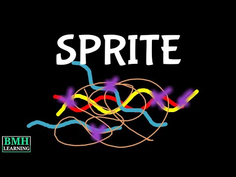 Split-Pool Recognition Of Interactions By Tag Extension | Mapping Higher Order Chromatin With SPRITE
