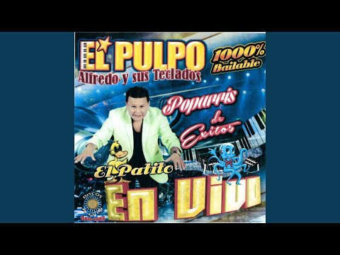 La Cumbia del sapito