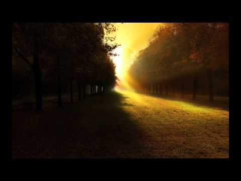 MKJ & Otter Berry Ft  Lokka Vox - Sunset Avenue