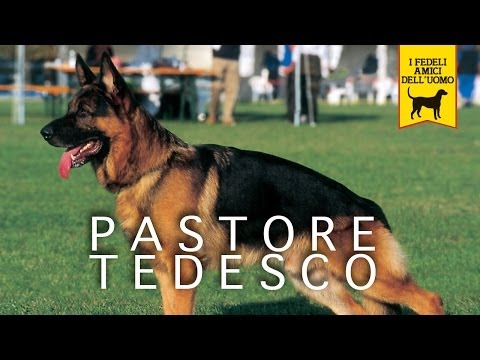 Esacerbazione della malattia degenerativa del disco del trattamento della colonna vertebrale cervica Trattamento per giunti a secco