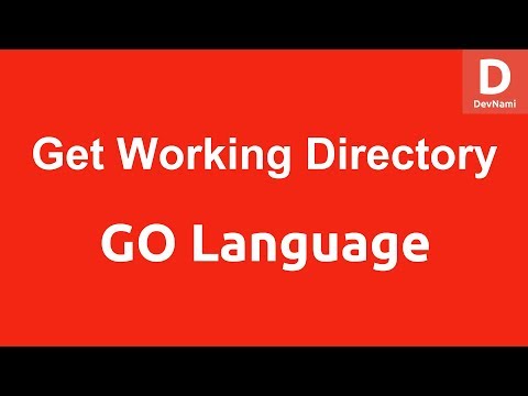 GO Programming Current Working Directory