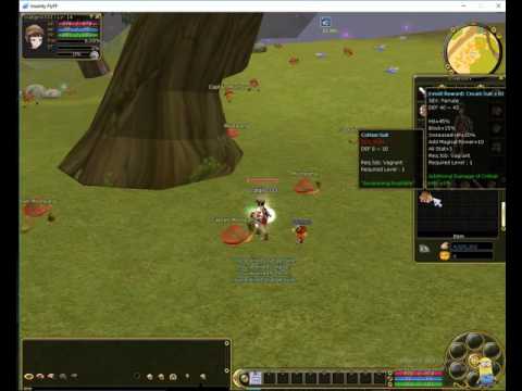 insanity flyff game play