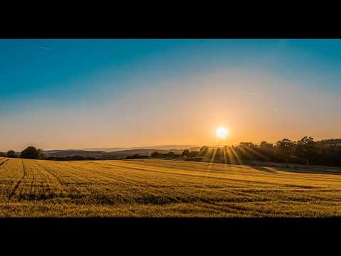 Darren Tate feat. Pippa - I Would Die For You (Jurgen Vries Instrumental Mix)