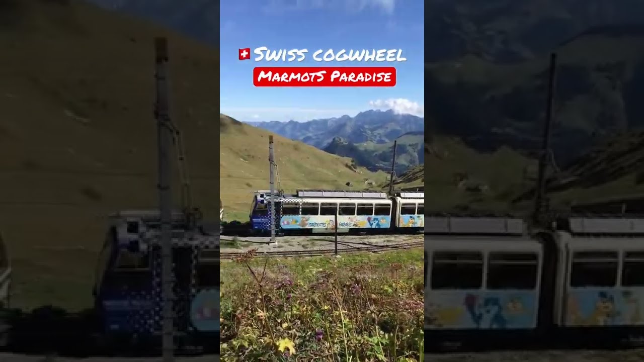 YouTube Short thumbnail