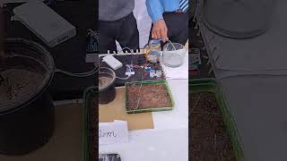 Smart irrigation system using moisture sensor