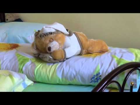 Ştire Etv - LOCUINȚE SOCIALE MODERNE ÎN BRĂILA | 27.02.2016