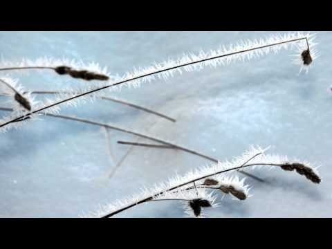 Eye level. Simon Park Orchestra By Jack Trombey.