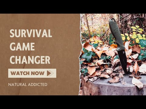 Welches Jagdmesser zum aufbrechen? | Odenwolf Hunter 2 |  beste Jadgmesser? | Bushcraft Österreich