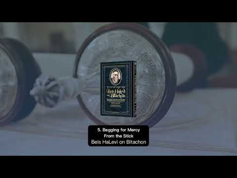 5. Begging for Mercy From the Stick || Beis HaLevi on Bitachon #BeisHaLevi #Bitachon #emuna