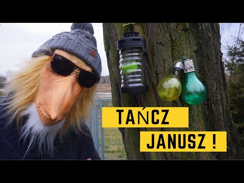 TAŃCZ JANUSZ (TONES AND I - DANCE MONKEY PARODIA/PARODY) | Nosem Janusza