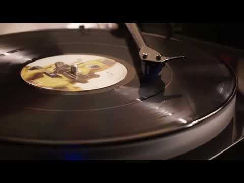 Super Furry Animals: Citizens Band (Hidden vinyl track)