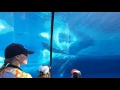 A Day At The Zoo Part 3