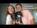 We Adopted A New Puppy