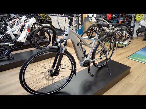 E-Bike 2022 Velo de Ville AEB 900 Trapezrahmen Trekkingrad Bosch Performance CX Review