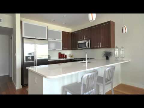 Allele - New Construction in Boston