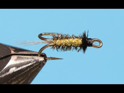 Harjusperho (larva) tuplaan