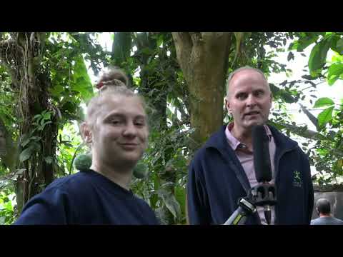 Speaking with the Executive Director Karl Hansen | #S4S - YouTube