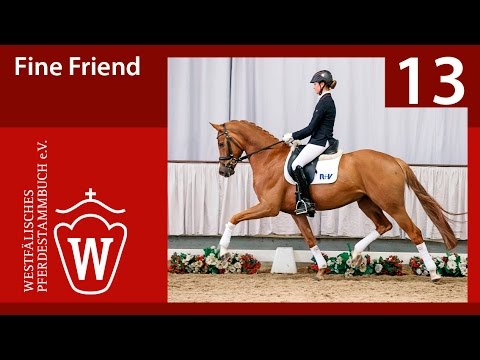 13 Fine Friend Wallach v. Fineliner - Saint Tropez