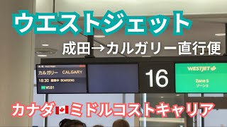 【カナダ】直行便でカナダへ!機内食はどんな感じ?【カルガリー】