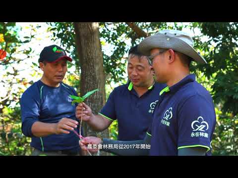 林業永續多元輔導方案　夥伴．多元．友善