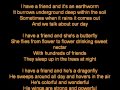 Weezer ALL MY FRINDS ARE INSECTS LYRICS