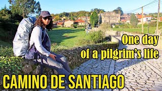 The Camino de Santiago - one day of a pilgrim's life 2019