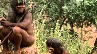 Evolucion de la Especie Humana - Docufilm